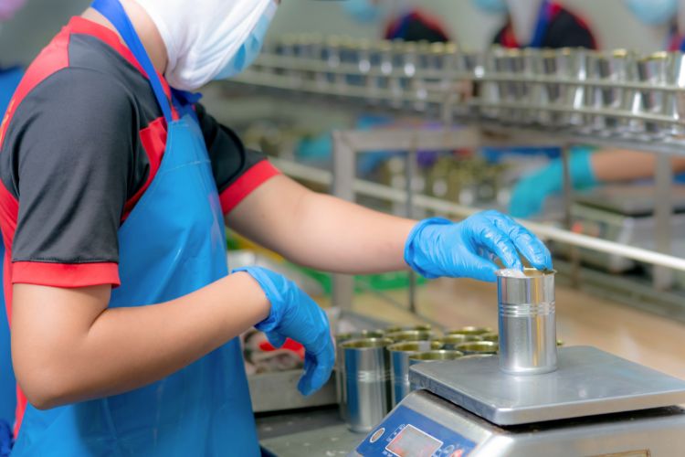 Nutritious Ventures in Health Food Production