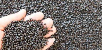 Material-Selection-qe3yhc0u6g9juv38aklbdgk4r5xmjtku2gj7t9vexw